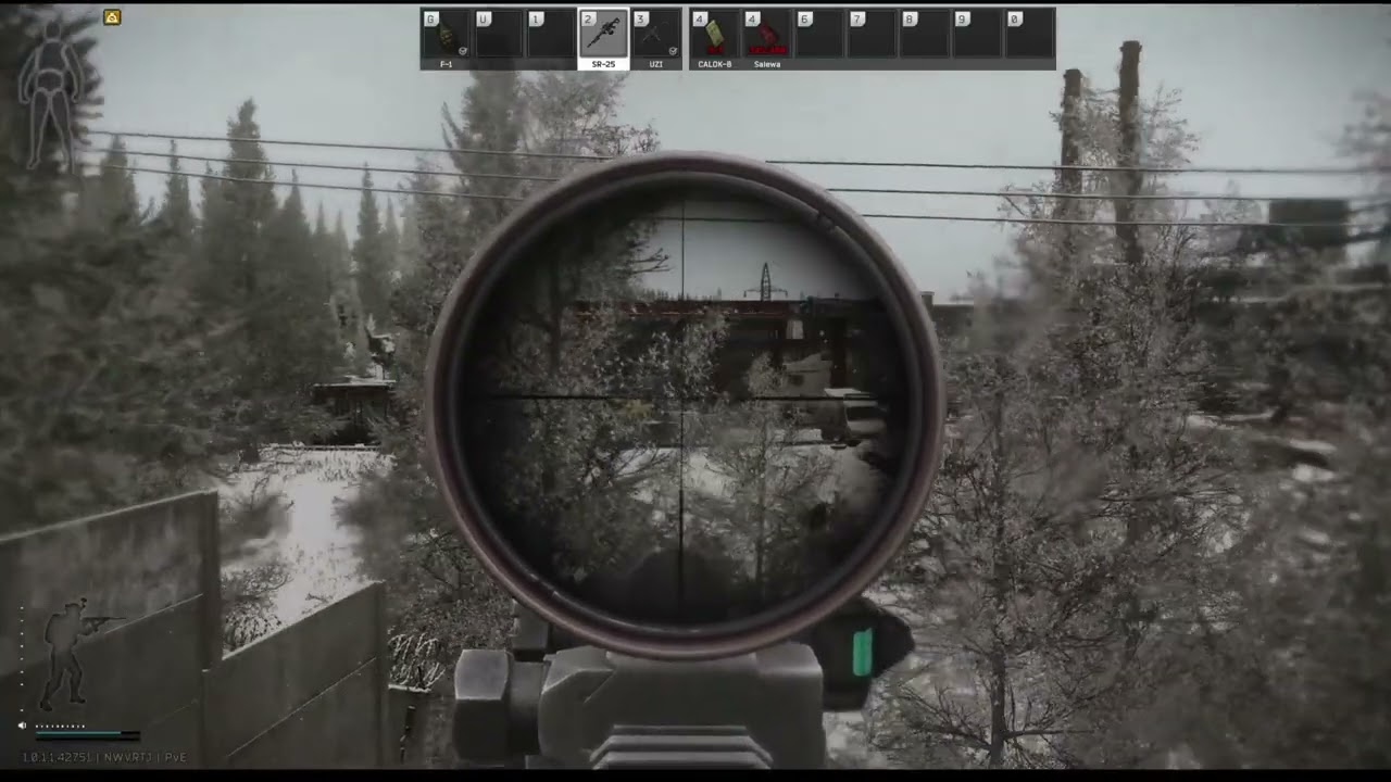 Tarkov PVE customs run. |Entire raid|Boss Kill|