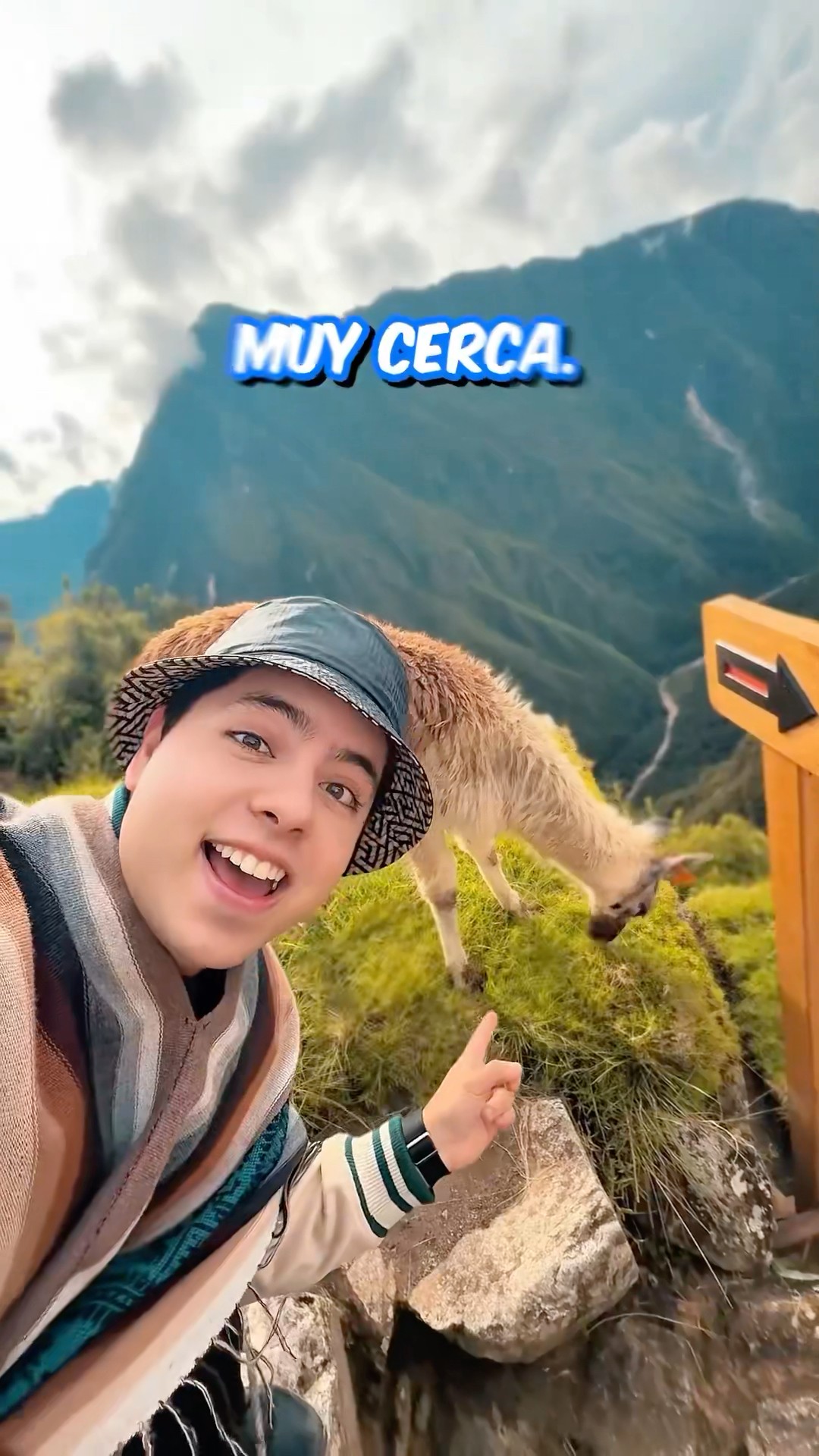 QUIERO QUE ME G0LPEE UNA LLAMA EN MACHU PICCHU #shorts @perualegretravel8268 @MeliRico @carolatv_