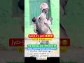 አሳዛኝ አባት እናግዛቸው ሼር ይደረግ Abelbirhanu Eshetumelese Shortsviral Habesha Ebs Newinfo Shortsfeed