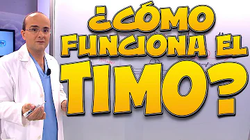 ¿A qué edad comienza la involución del timo?