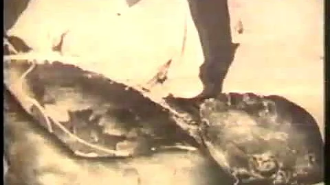 A Glimpse of Lester Lloyd "Jim Brown" Coke's Life,...