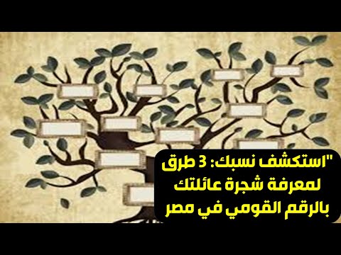 اكتشف أصولك 3 طرق للتعرف على شجرة عائلتك بالرقم القومي في مصر اعرف نسبك لمين