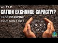 What is cation exchange capacity  understanding soil tests