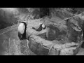 2020-12-10 Xiao Qi Ji Escapes from the Playpen!