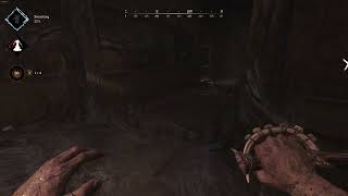Assassin Bug At DeSalle || Hunt Showdown