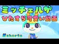 【あつ森】ミッチェルがひたすら可愛い動画 #shorts