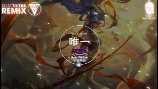 G.E.M.邓紫棋 - 唯一  (抖音DJ版) Duy Nhất (Remix) - Đặng Tử Kỳ『你真的懂唯⼀的定义，并不简单如呼吸。』抖音最火的歌曲｜Trending TikTok