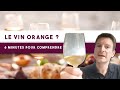 6 minutes pour reconnatre le vin orange leon n113