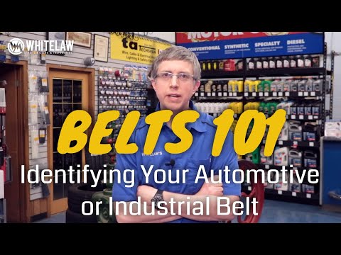 V Belt Sizes