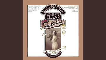 Serenade for String Orchestra in E Minor, Op. 20: II. Larghetto