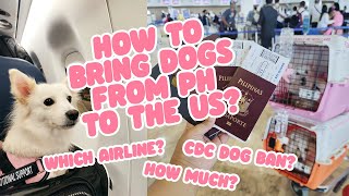 HOW TO BRING DOGS FROM PH TO THE US? | CDC DOG BAN