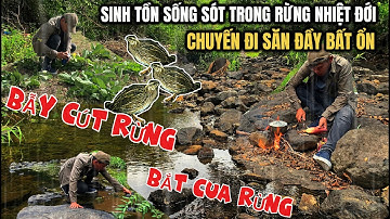 Đi săn trong rừng ăn sung ,chuối rừng cua rừng ở lại một ngày trong suối tập 1| green forest liìe