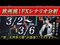 【FX】3/1 来週のシナリオ解説 〜 アメリカ・イランで交渉決裂..第三次世界大戦の幕開けか..？〜
