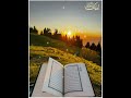 Subhanallah🫀#islamicmessages