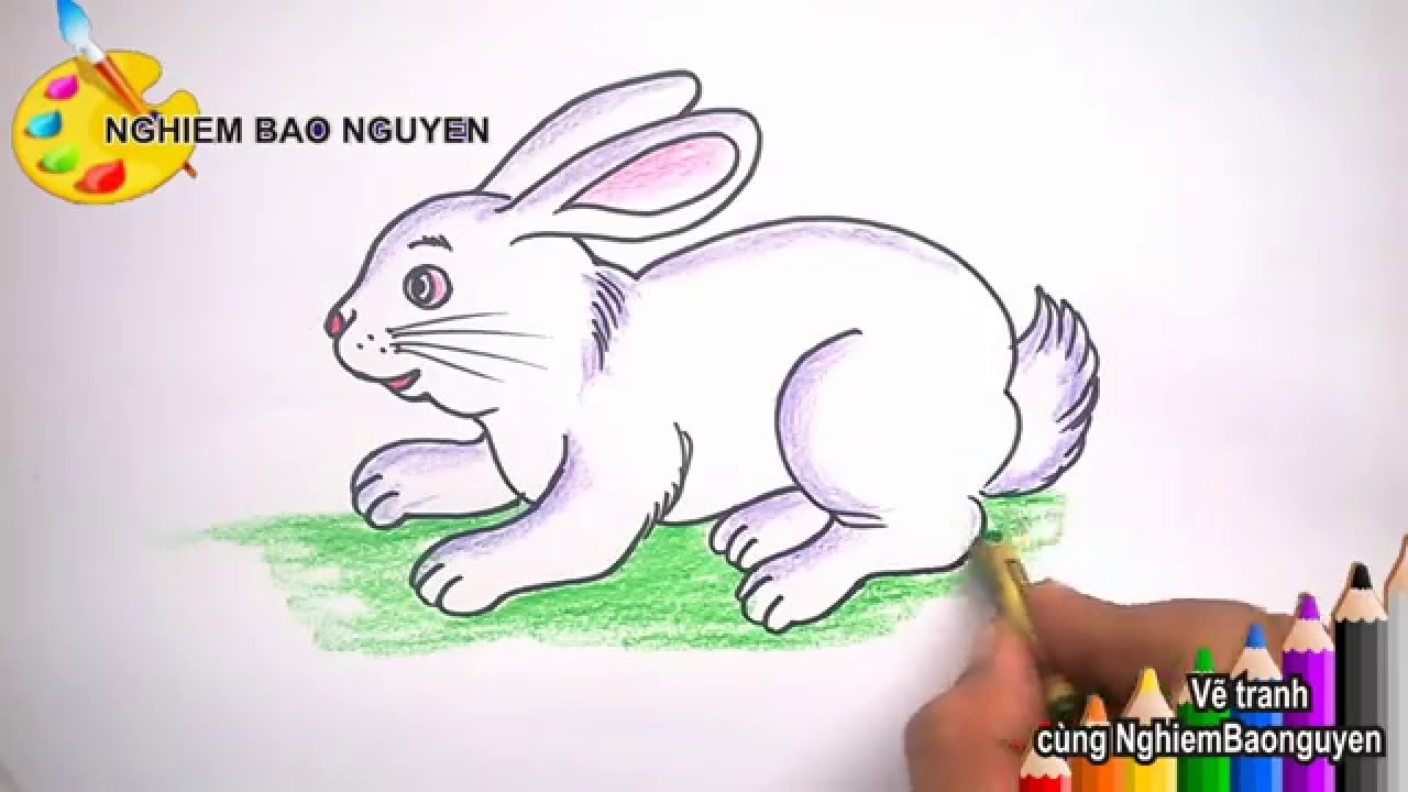 Xem rộng lớn 48 hình họa về hình vẽ con cái thỏ đơn giản và giản dị  daotaonec