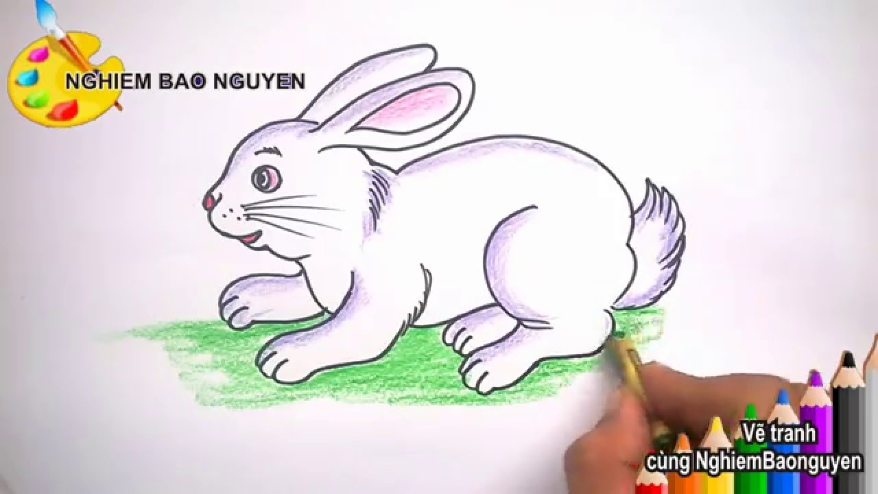 Vẽ Con Thỏ/How To Draw Rabbit - Youtube