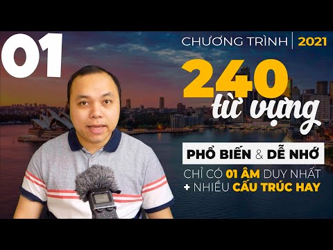 Video: Điều gì khiến một chú chó chú ý đến một người?