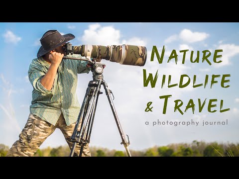 Nature, Wildlife & Travel Photography Journal - Asia | Africa | North America