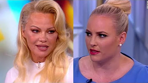 Spoiled Brat Meghan McCain Schooled By Pamela Ande...