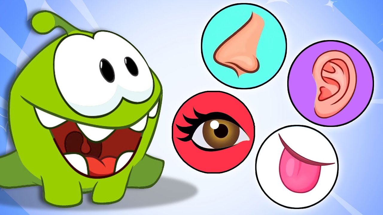 ⁣Om Nom | 5 Sensi Con Om Nom | Cartoni Animati | Impara Con Om Nom