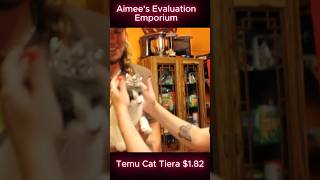 My Cat Became ROYALTY Tiara Test Fail or Success