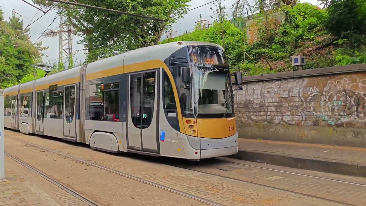 Compilation Trams 4K