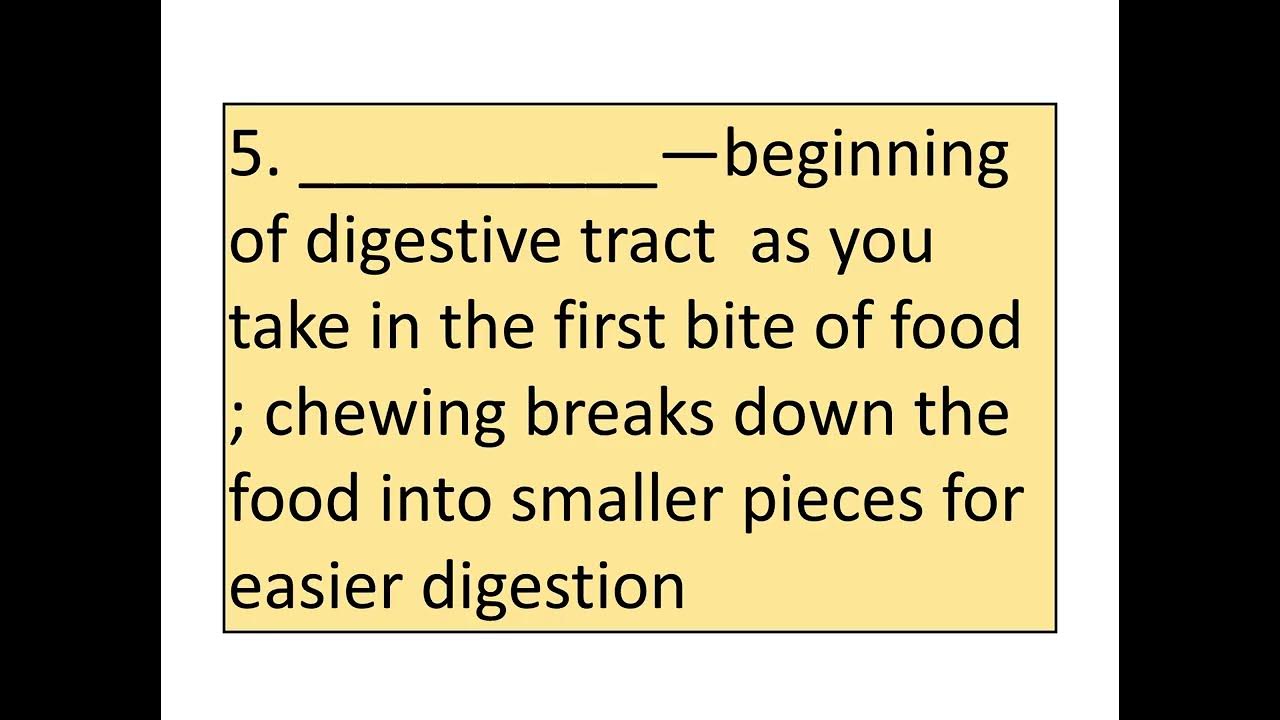 SCIENCE 8 QUARTER 4 Digestive System Quiz YouTube