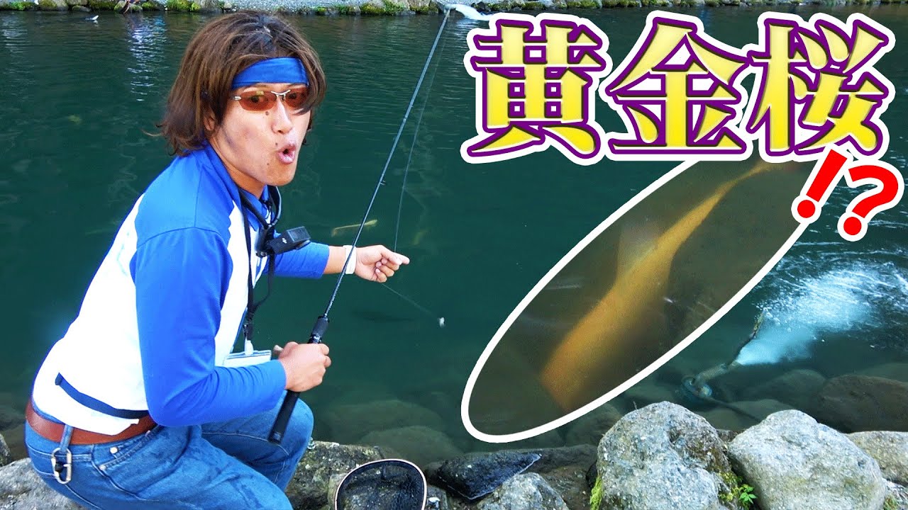 日本一アルビノが釣れる管釣り【リバーランズ山都】