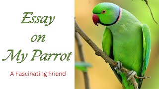 Essay on My Parrot | My Pet Parrot