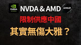 美股分析｜NVDA &amp; AMD被禁出口中國HPC芯片，其實影響不大？
