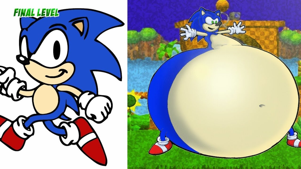 Sonic Characters Fat Version Youtube