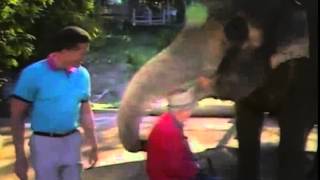 An elephant never forgets: Reunited with trainer after 15 years