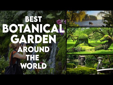 Vidéo: Queens Botanical Garden : le guide complet