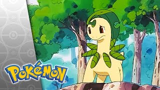 Download Lagu Turning Over a New Bayleef | POKÉMON FULL EPISODE 43 | Season 4 MP3 Download Lagu Turning Over a New Bayleef | POKÉMON FULL EPISODE 43 | Season 4 MP3