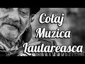 Muzică lăutărească veche COLAJ ALBUM - Muzica Lautareasca Colaj nou cu Sorinel de la Plopeni 2022