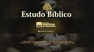 ESTUDO BIBLICO -  Nº 47 APOCALIPSE
