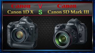Différence entre Canon EOS-1DX et EOS 5D Mark III