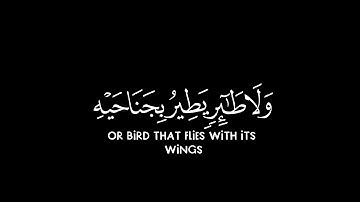 وقالوا لولا نـزل عليه آية من ربه | كروما شاشة سوداء قرآن | سورة الأنعام | الشيخ د. ياسر الدوسري