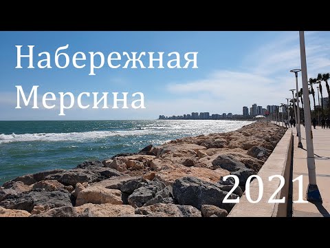 Video: Golitsyn'e Nasıl Gidilir