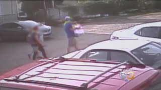 Insectarium Ceo Surveillance Video Shows Former Employees Stealing Thousands Of Insects, Small Rept