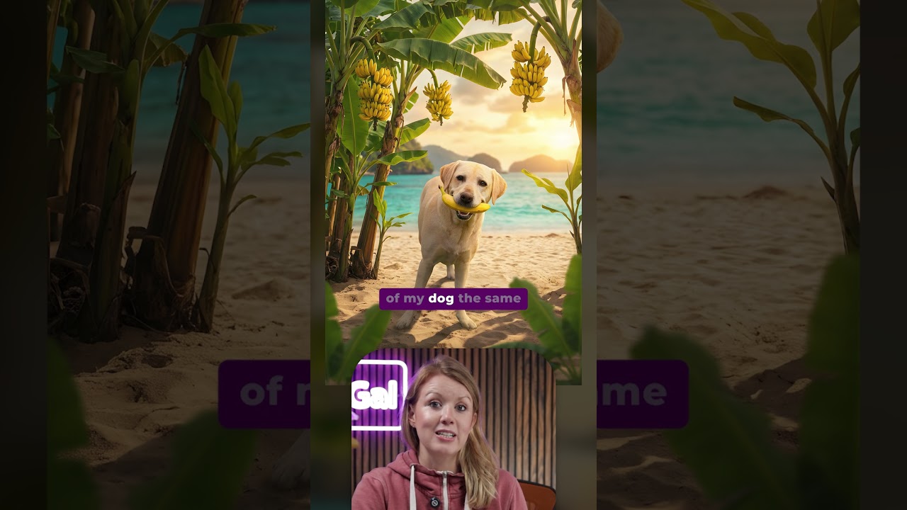 Edit Photos Fast with Nano Banana Pro