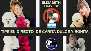 Cómo cortar el pelo a un perro,TIPS CARITAS  BONITAS Y DULCES en  peluquería con ELIZABETH TRAVESÓ