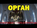 Мини-концерт органной музыки в кафедральном соборе Калининграда.