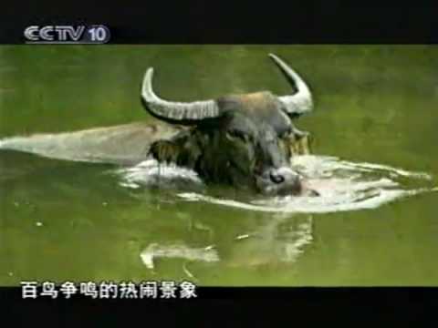 约会春天1