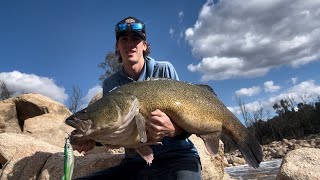 ABSOLUTELY INSANE!!!! Sight casting metre plus Murray cod. (Murray cod fishing Australia).