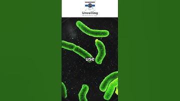 bioinformatics tools and pipelines in metagenomics | Bioinformatics | Unveiling biotechnology