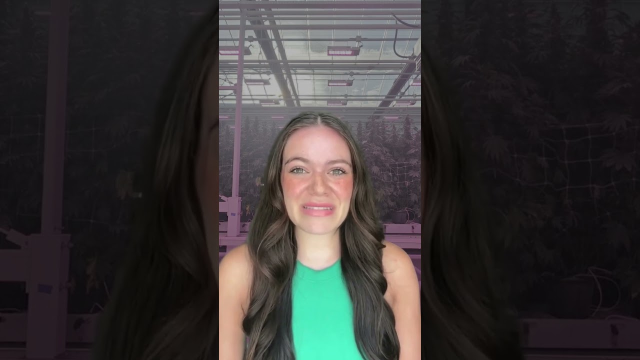 True Harmony Co is here for the Nevada cannabis community. Learn more about us :)