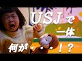 【初ユニバ】大好きなおさるのジョージといっしょ・・・なぜか号泣!?/ミニオン/ワンダーランド/NO LIMIT!ショー【2歳と0歳9ヵ月】