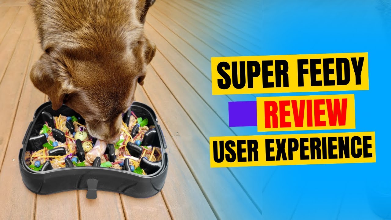 Super Feedy 4 in 1 Feeder Reviews | Must Watch Before You Buy!
