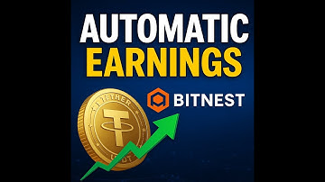 Bitnest Live Tutorial: I Invested $10,000 USDT – Earned $2,400 in 28 Days!